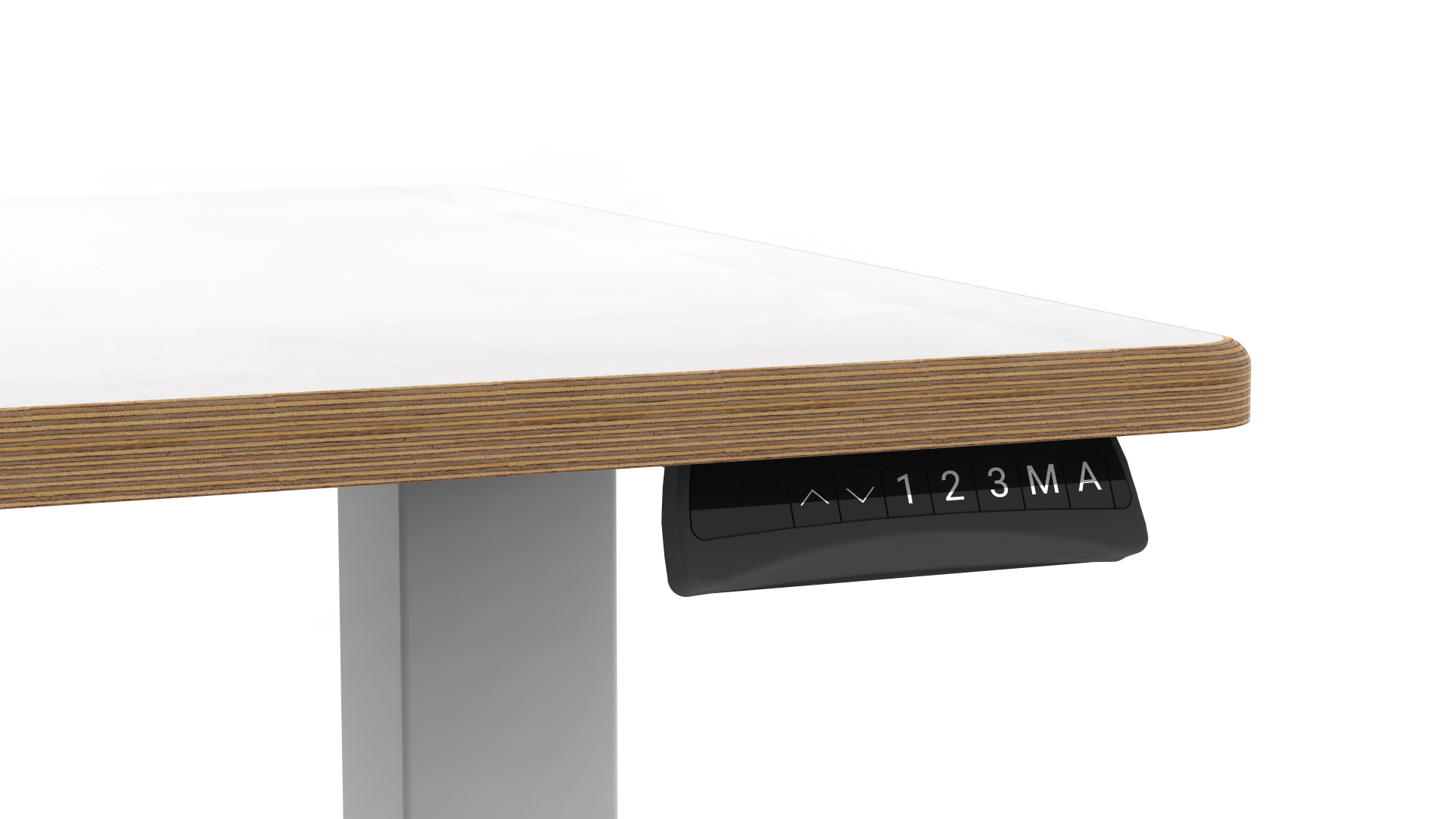 ZAOR Leva Standing Desk